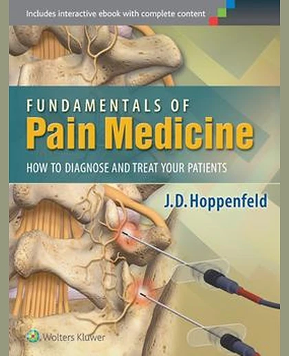 Fundamentals of Pain Medicine