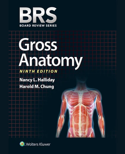 BRS Gross Anatomy