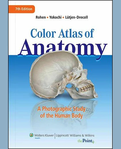 Color Atlas of Anatomy: A Photographic Study of the Human Body