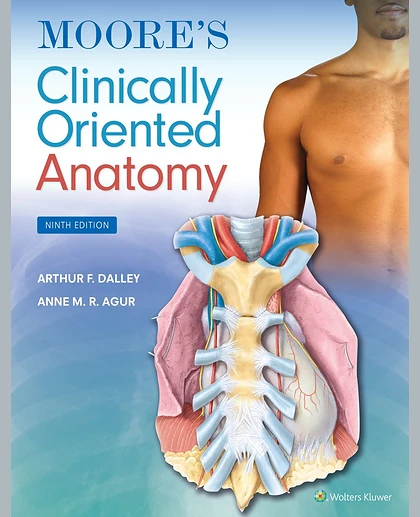 Moore's Clinically Oriented Anatomy