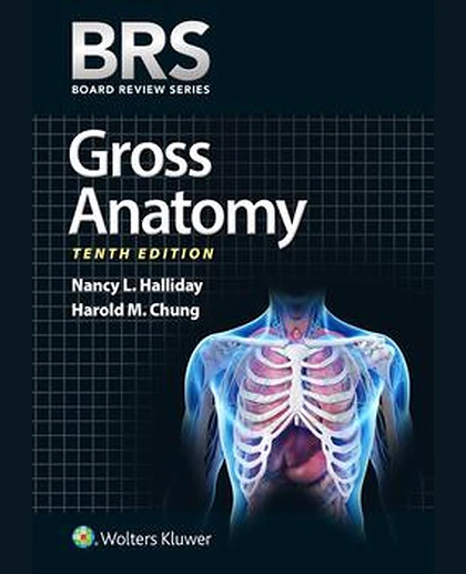 BRS Gross Anatomy