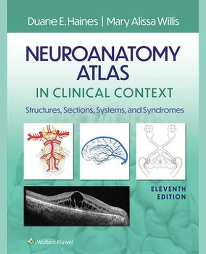 Neuroanatomy Atlas in Clinical Context