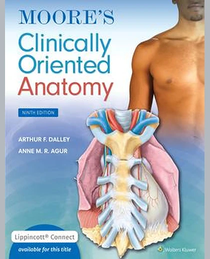 Moore's Clinically Oriented Anatomy