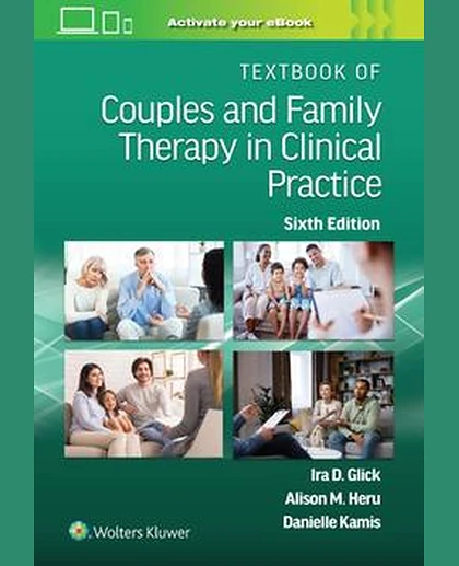Textbook of Couples and Family Therapy in Clinical Practice