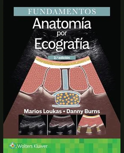 Fundamentos. Anatomía por ecografía