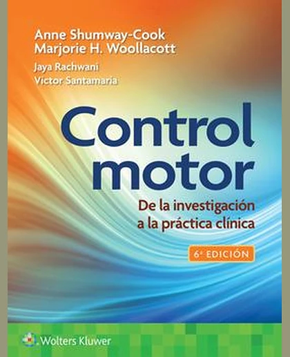 Control Motor