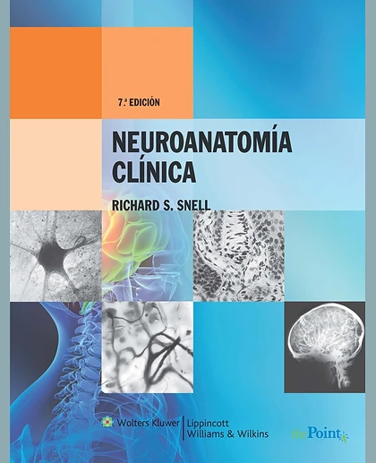 Neuroanatomía clínica (7a. ed.)