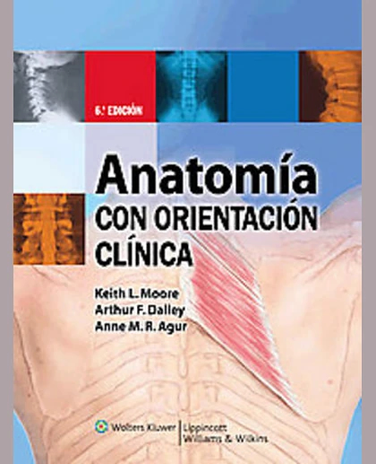 Anatomía Con Orientación Clínica