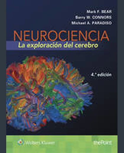 Neurociencia: La exploración del cerebro: .