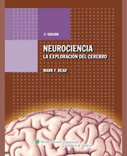 Neurociencias: La Exploración Del Cerebro