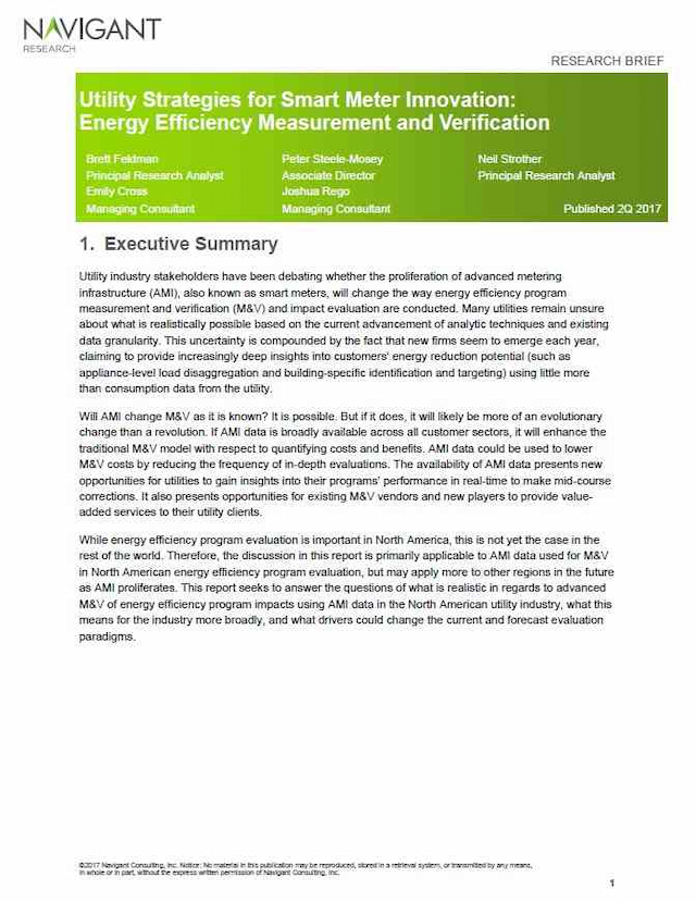 Utility Strategies for Smart Meter Innovation: Energy Efficiency Measurement and Verification