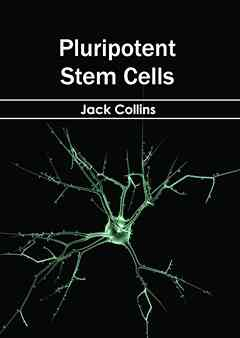 Pluripotent Stem Cells