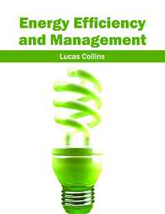 Energy Efficiency and Management