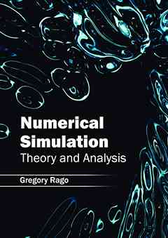 Numerical Simulation: Theory and Analysis
