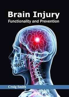 Brain Injury: Functionality and Prevention