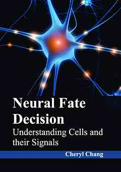 Neural Fate Decision: Understanding Cells and Their Signals