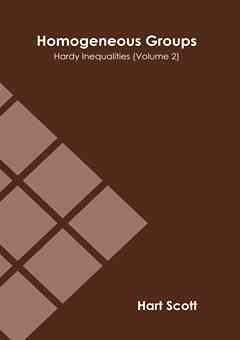 Homogeneous Groups: Hardy Inequalities (Volume 2)