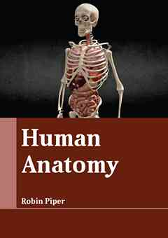 Human Anatomy