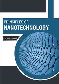 Principles of Nanotechnology