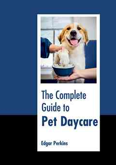 The Complete Guide to Pet Daycare