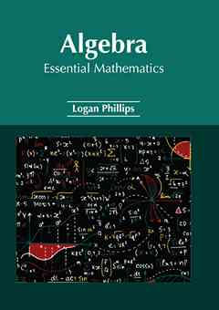 Algebra: Essential Mathematics