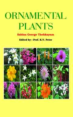 Ornamental Plants