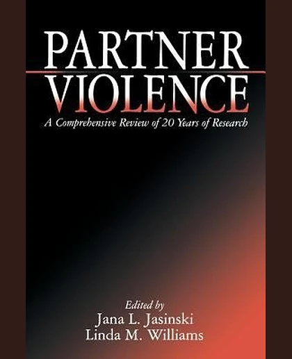Partner Violence: A Comprehensive Review of 20 Years of Research, 1st Edition