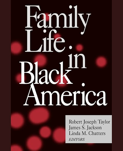 Family Life in Black America, 1st Edition