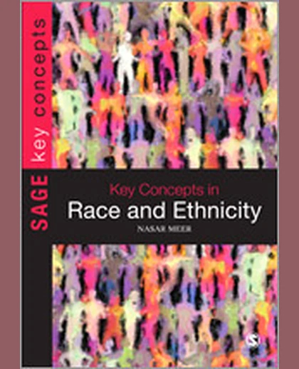 Key Concepts in Race and Ethnicity, 1st Edition