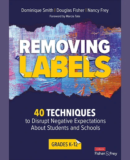 Removing Labels, Grades K-12: 40 Techniques to Disrupt Negative Expectations About Students and Schools, 1st Edition
