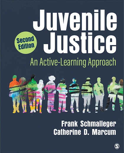 Juvenile Justice: An Active-Learning Approach, 2nd Edition