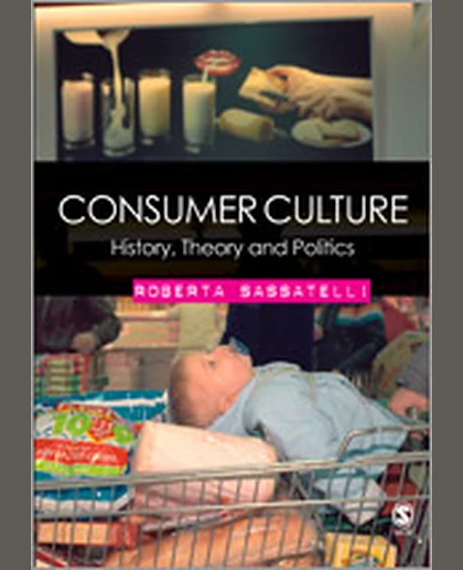 Consumer Culture: History, Theory and Politics, 1st Edition