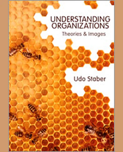 Understanding Organizations: Theories and Images, 1st Edition