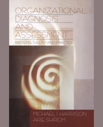 Organizational Diagnosis and Assessment: Bridging Theory and Practice, 1st Edition
