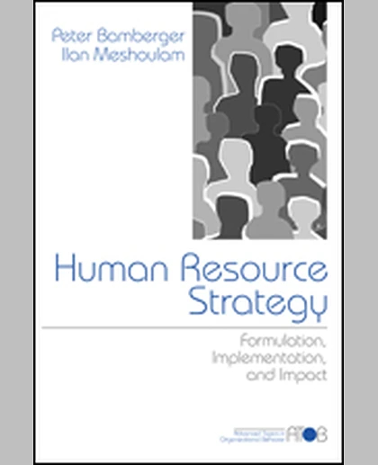 Human Resource Strategy: Formulation, Implementation, and Impact, 1st Edition