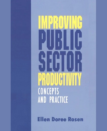 Improving Public Sector Productivity: Concepts and Practice, 1st Edition