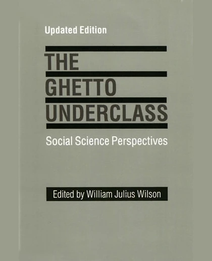 The Ghetto Underclass: Social Science Perspectives, 1st Edition
