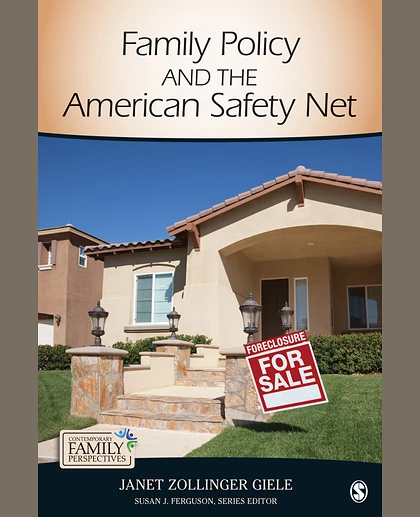Family Policy and the American Safety Net: SAGE Publications, 1st Edition