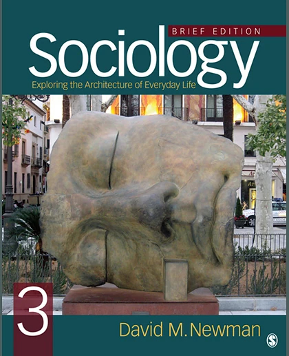 Sociology: Exploring the Architecture of Everyday Life, Brief Edition, 3rd Edition