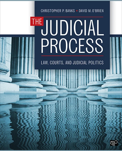 The Judicial Process: Law, Courts, and Judicial Politics, 1st Edition