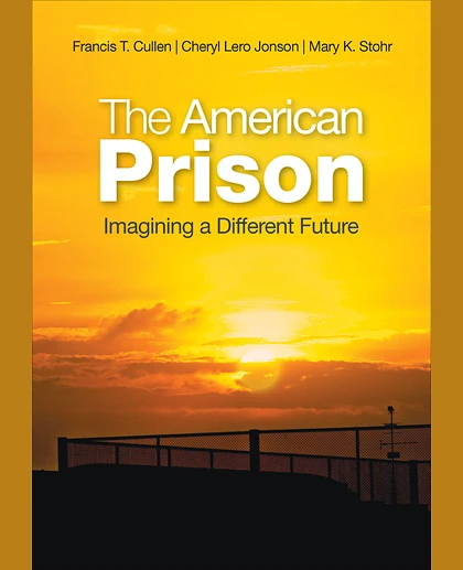 The American Prison: Imagining a Different Future, 1st Edition