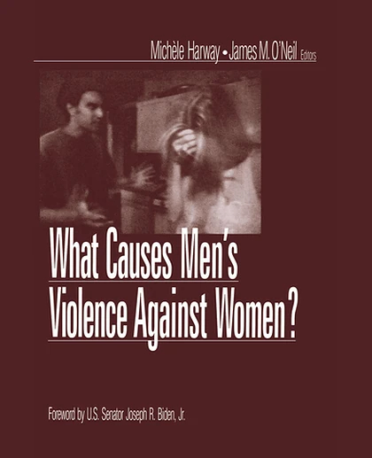 What Causes Men′s Violence Against Women?, 1st Edition