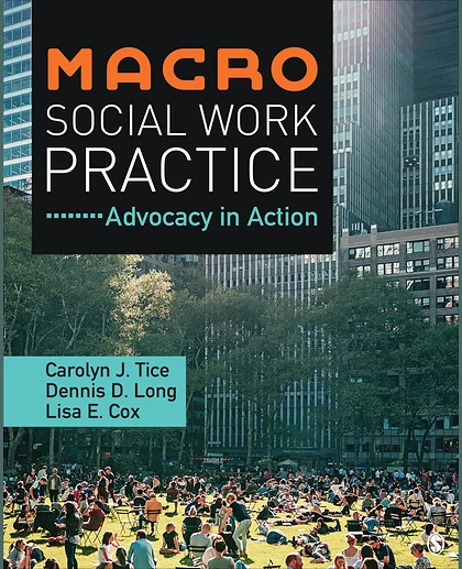 Macro Social Work Practice: Advocacy in Action, 1st Edition
