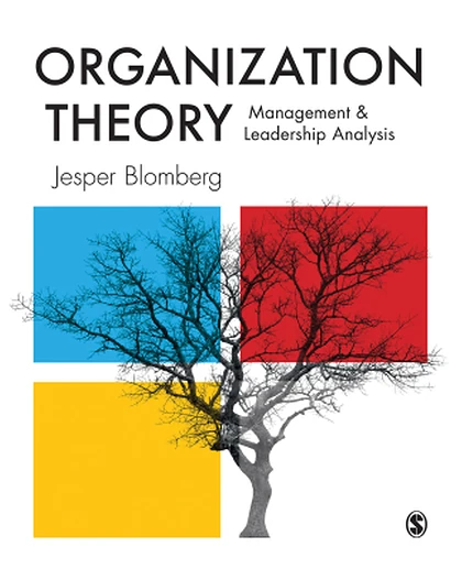 Organization Theory: Management and Leadership Analysis, 1st Edition
