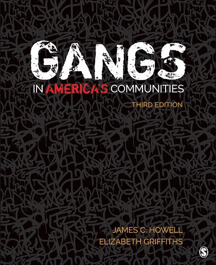 Gangs in America′s Communities, 3rd Edition