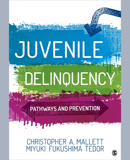 Juvenile Delinquency: Pathways and Prevention, 1st Edition