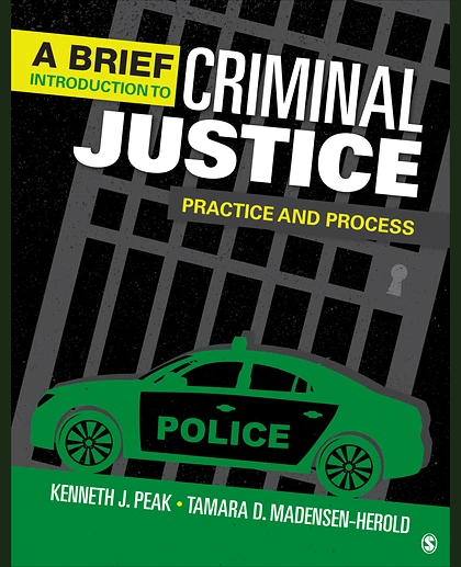 A Brief Introduction to Criminal Justice: Practice and Process, 1st Edition