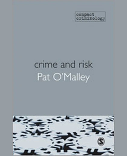 Crime and Risk, 1st Edition