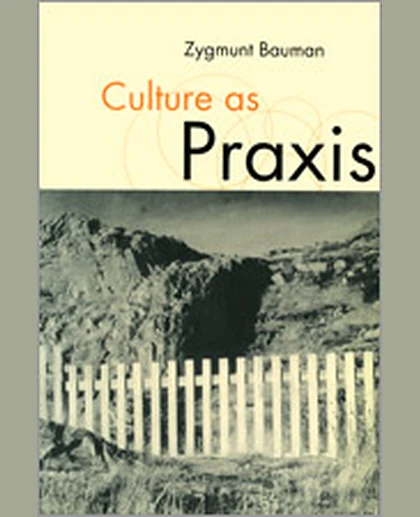 Culture as Praxis, 1st Edition