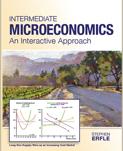 Intermediate Microeconomics: An Interactive Approach, 1st Edition